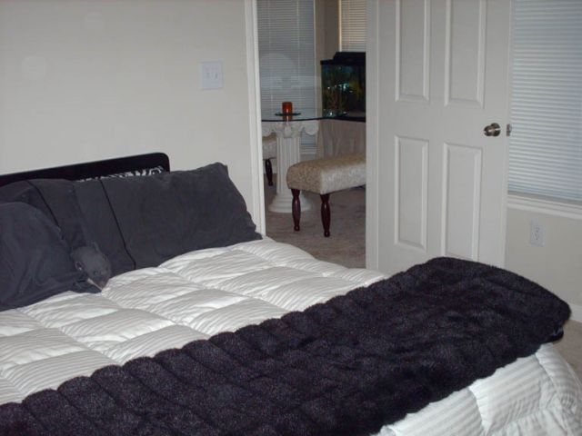 高浜市で叶える理想の注文住宅と地域に根ざした豊かな暮らしの魅力