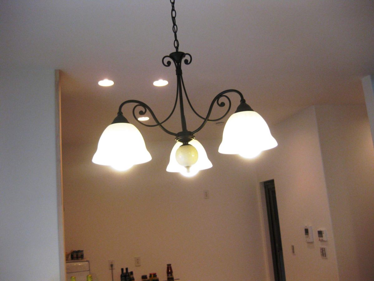 高浜市で自然と都市が調和する持続可能なまちづくりと土地活用最前線